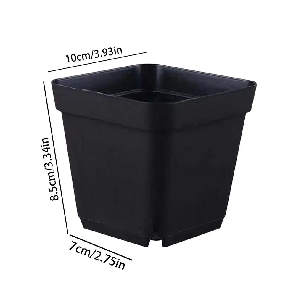 Seedling Pots 50Pcs Square Plant Seeding