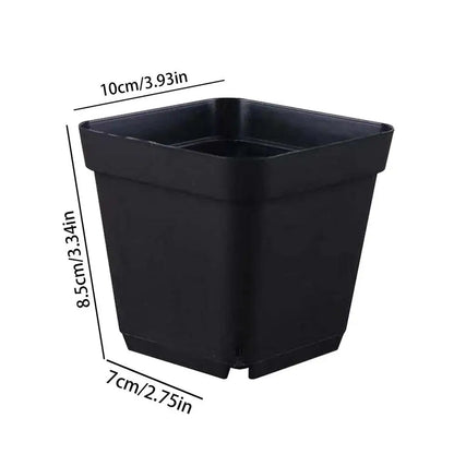 Seedling Pots 50Pcs Square Plant Seeding