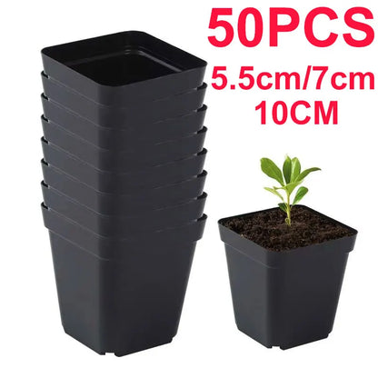 Seedling Pots 50Pcs Square Plant Seeding