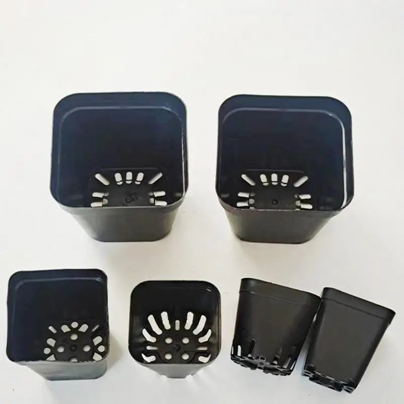 Seedling Pots 50Pcs Square Plant Seeding