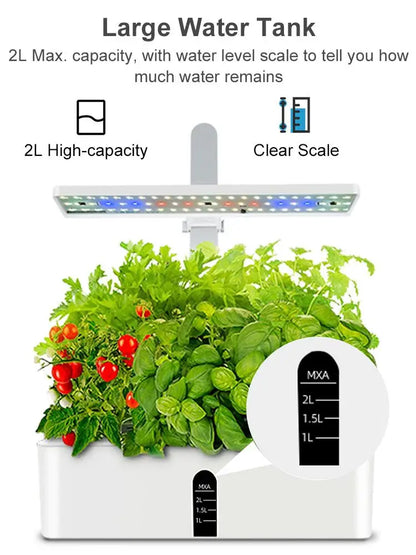 Hydroponics Growing System Automatic Timing Indoor Garden Kit
