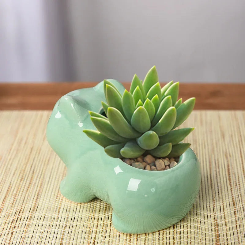 Creative Ceramic Mini Flowerpot Succulent Planter