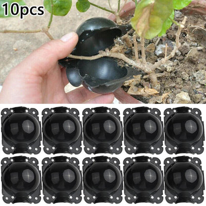 10Pcs Reusable Plant Root Growing Box