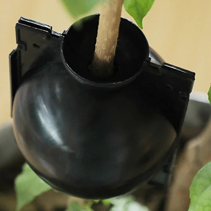 10Pcs Reusable Plant Root Growing Box