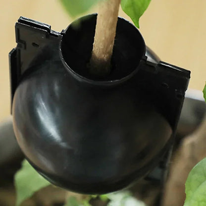 10Pcs Reusable Plant Root Growing Box