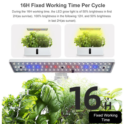 Hydroponics Growing System Automatic Timing Indoor Garden Kit