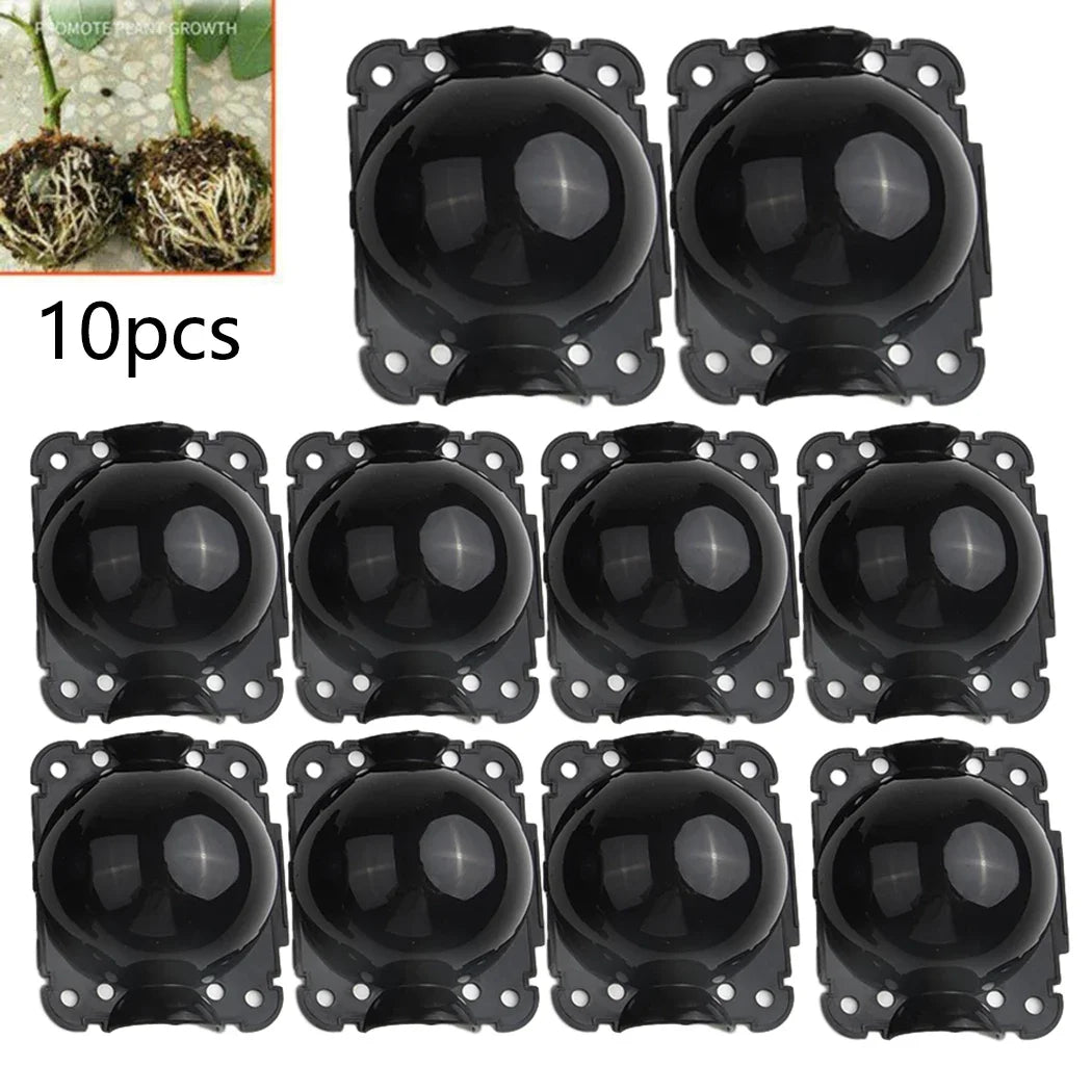 10Pcs Reusable Plant Root Growing Box