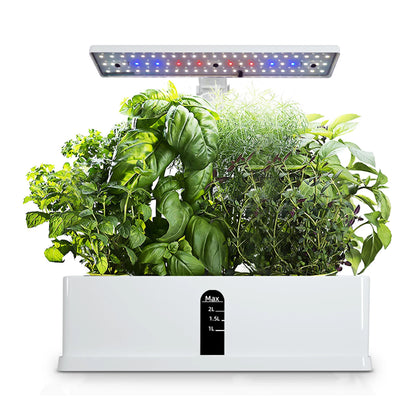 Hydroponics Growing System Automatic Timing Indoor Garden Kit